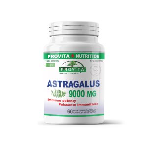 astragalus 9000 provita nutrition